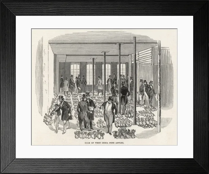 Framed Print : Pineapples Sold, London Framed Print : Pineapples Sold, London