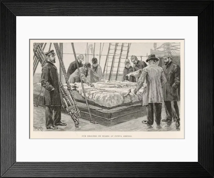 Framed Print : Fur Trading in Argentina Framed Print : Fur Trading in Argentina