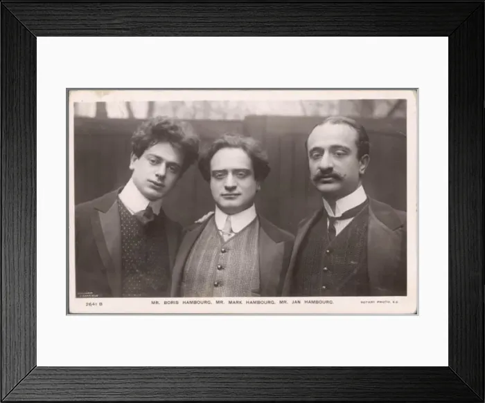 Framed Print : Three Hambourgs / 1909 Framed Print : Three Hambourgs / 1909