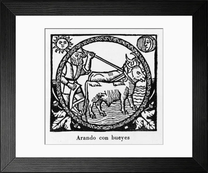 Framed Print : Plowing, Spain 1511 Framed Print : Plowing, Spain 1511