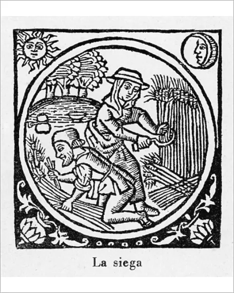 Harvesting, Spain 1511