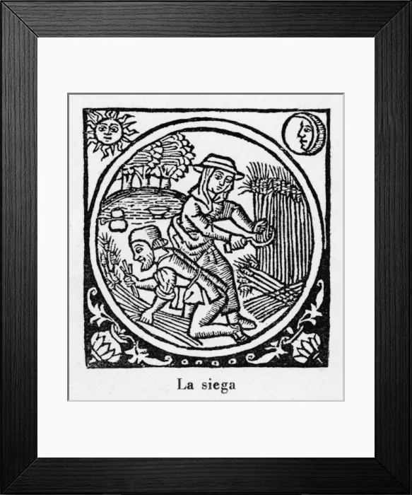 Framed Print : Harvesting, Spain 1511 Framed Print : Harvesting, Spain 1511