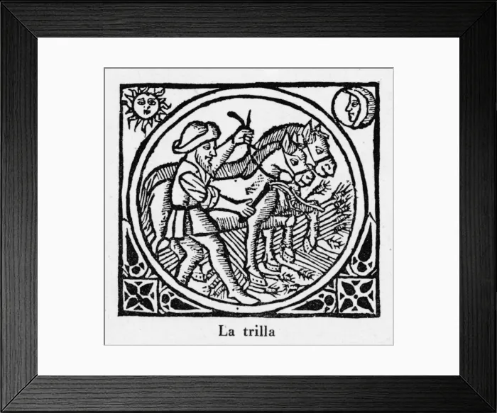Framed Print : Threshing, Spain 1511 Framed Print : Threshing, Spain 1511