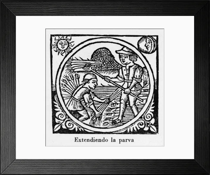 Framed Print : Threshing, Spain 1511 -2 Framed Print : Threshing, Spain 1511 -2