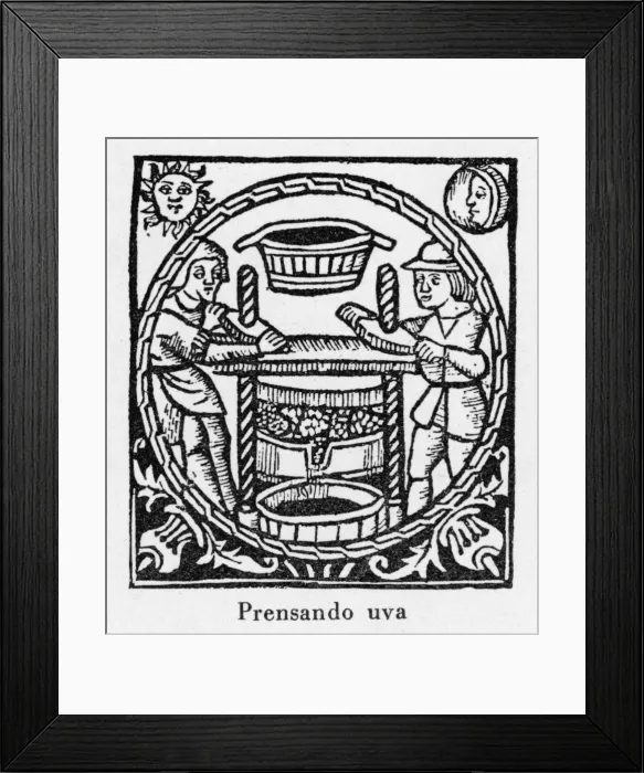 Framed Print : Pressing Grapes 1511 Framed Print : Pressing Grapes 1511