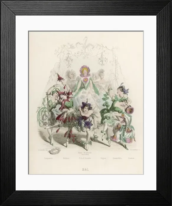 Framed Print : Bal Des Fleurs 1847 Framed Print : Bal Des Fleurs 1847