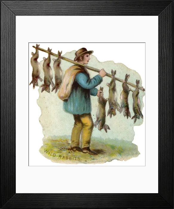 Framed Print : Selling Wild Rabbit Framed Print : Selling Wild Rabbit