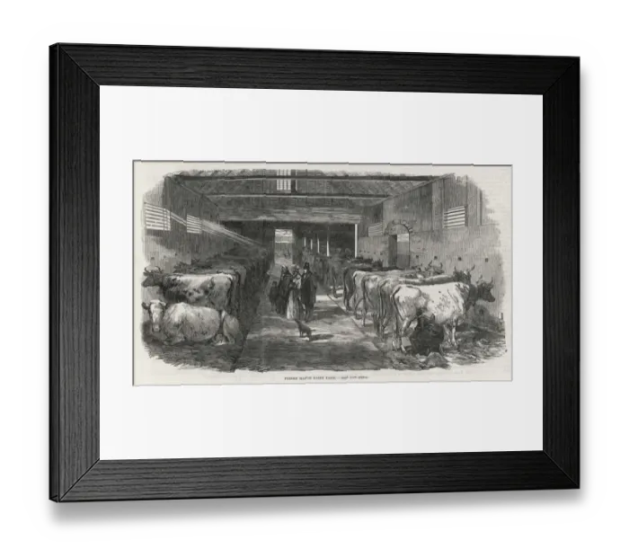 Framed Print : COWSHED, 1853 Framed Print : COWSHED, 1853