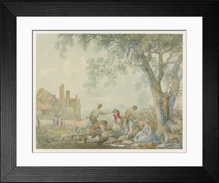 Framed Print : Shearing (Rowlandson) Framed Print : Shearing (Rowlandson)