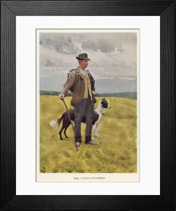Framed Print : Wiltshire Shepherd Framed Print : Wiltshire Shepherd