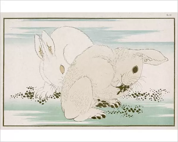 Hares (Hokusai)