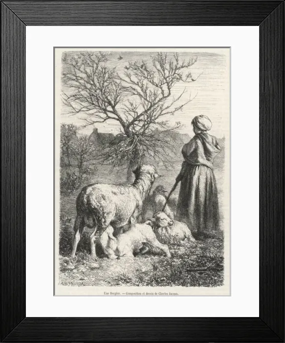 Framed Print : French Shepherdess Framed Print : French Shepherdess