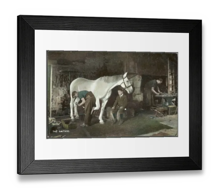 Framed Print : Shoeing a Horse Framed Print : Shoeing a Horse