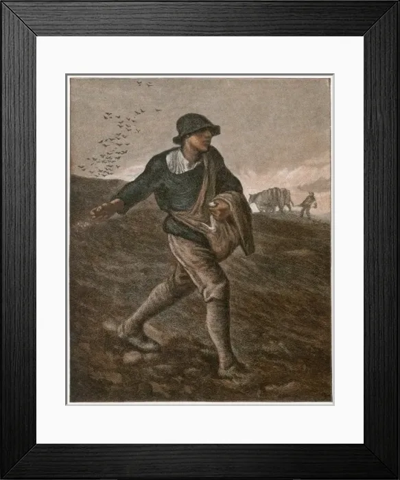 Framed Print : The Sower (Millet) Framed Print : The Sower (Millet)