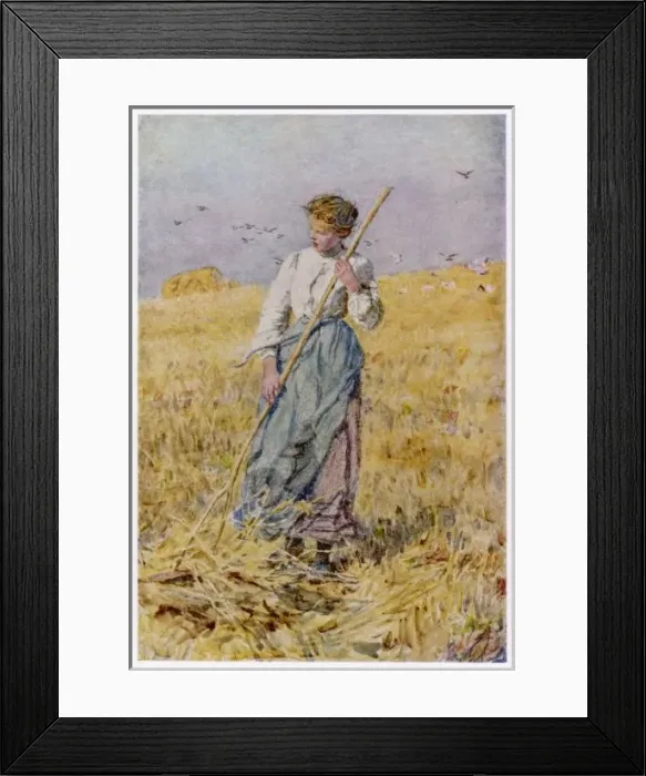 Framed Print : Gleaning Oats, France Framed Print : Gleaning Oats, France