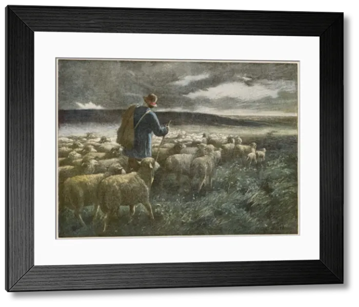 Framed Print : Shepherd and Storm Framed Print : Shepherd and Storm
