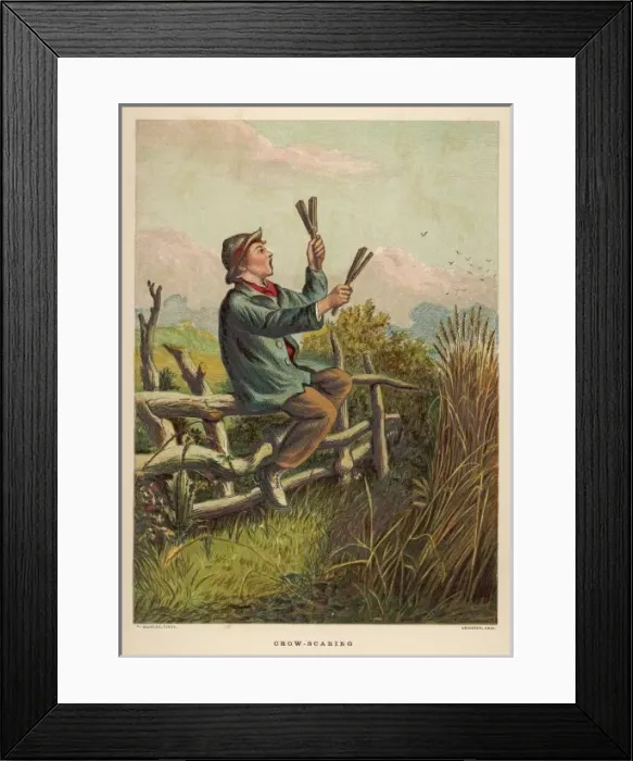 Framed Print : Boy Scaring Crows Framed Print : Boy Scaring Crows