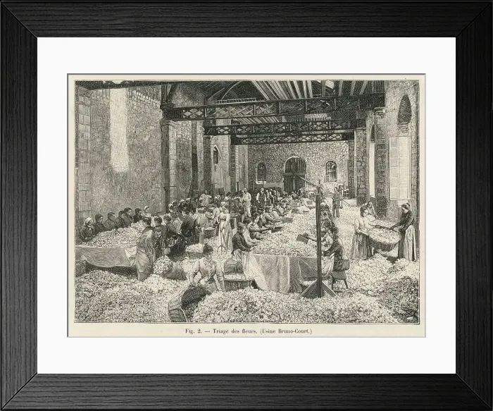Framed Print : Perfume Manufacture / 1898 Framed Print : Perfume Manufacture / 1898