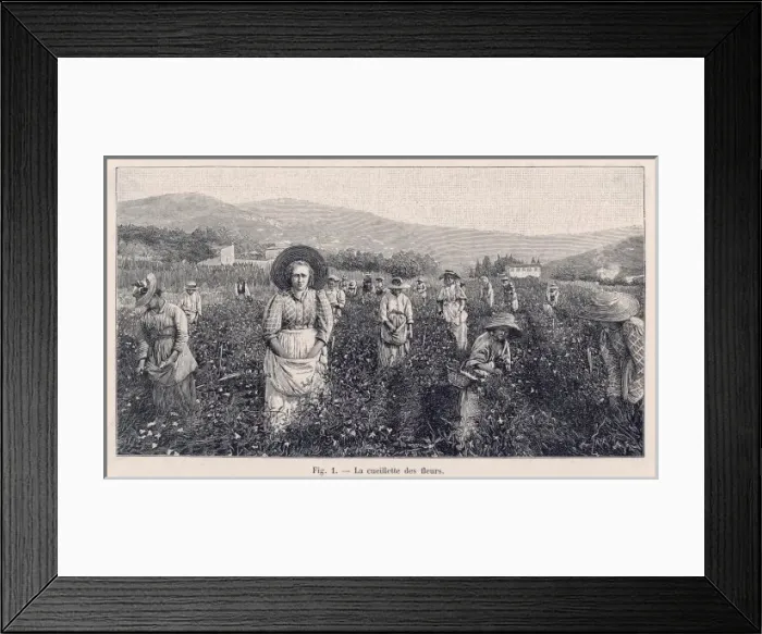 Framed Print : Perfume Manufacture / 1898 Framed Print : Perfume Manufacture / 1898