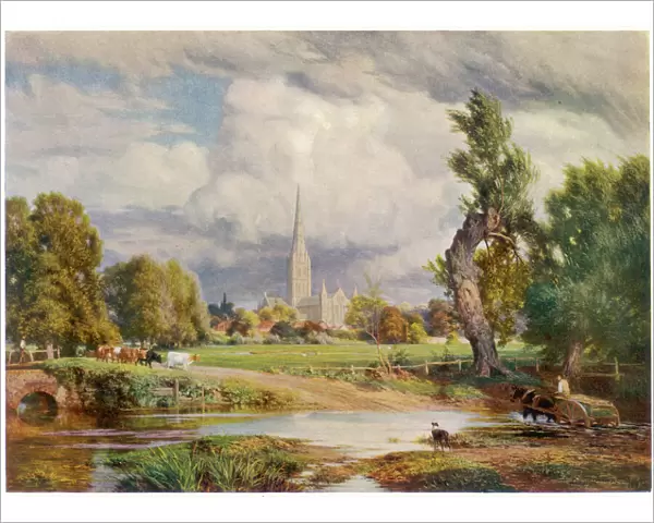 Salisbury Cathedral 1891
