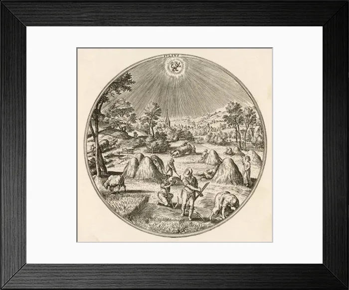 Framed Print : German Hay 1570 Framed Print : German Hay 1570
