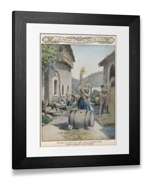 Framed Print : Threshing, Italy Framed Print : Threshing, Italy