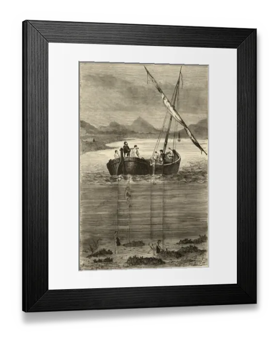 Framed Print : Diving for Pearls Framed Print : Diving for Pearls