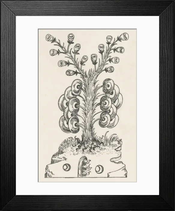 Framed Print : Alchemy - Lunary Framed Print : Alchemy - Lunary