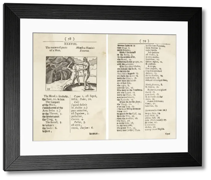 Framed Print : Diagram of Body / 1658 Framed Print : Diagram of Body / 1658