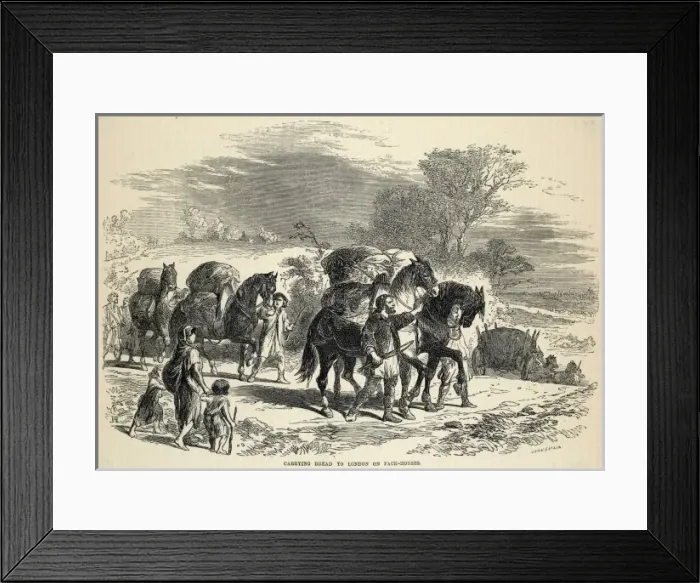 Framed Print : Pack Horse, London Framed Print : Pack Horse, London