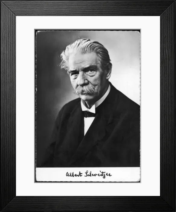 Framed Print : Schweitzer / Postcard Framed Print : Schweitzer / Postcard