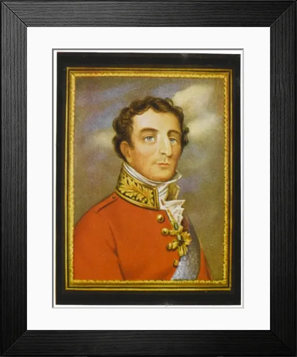 Framed Print : Wellington / Parent Miniat Framed Print : Wellington / Parent Miniat