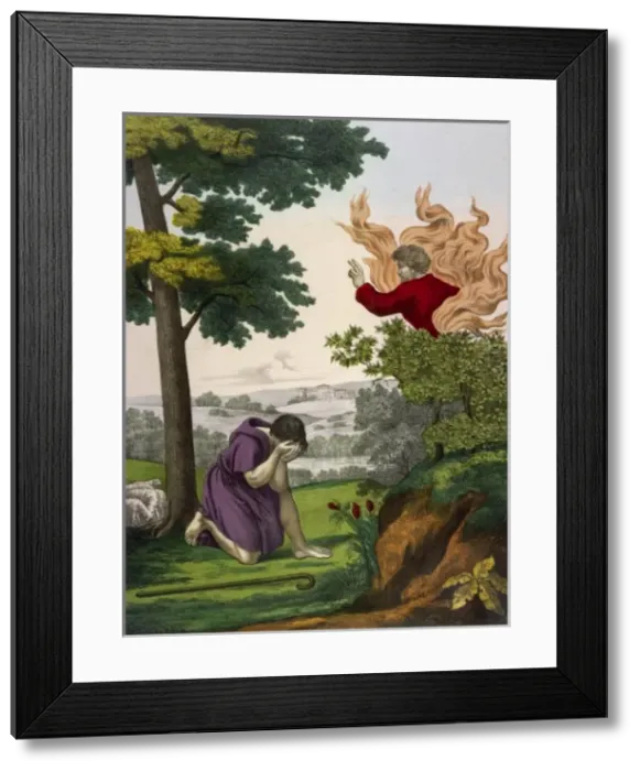 Framed Print : The Burning Bush Framed Print : The Burning Bush