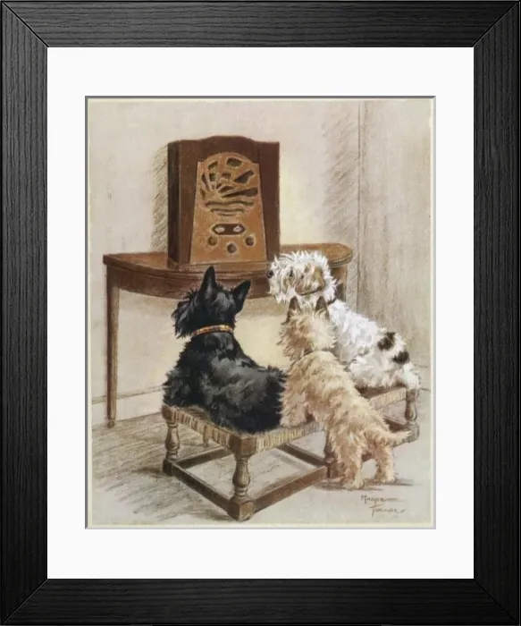 Framed Print : Dogs Listen to Radio Framed Print : Dogs Listen to Radio