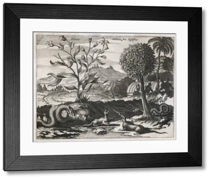 Framed Print : Caribbean Landscape 1520 Framed Print : Caribbean Landscape 1520