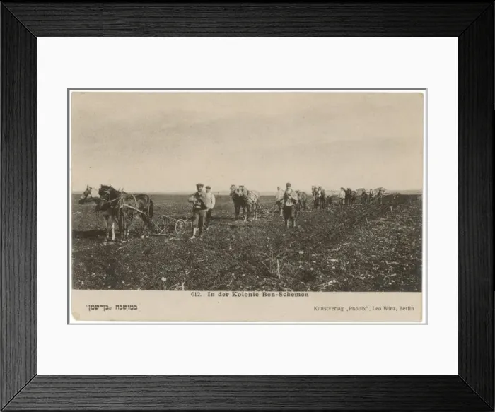 Framed Print : BEN-SCHEMEN COLONY Framed Print : BEN-SCHEMEN COLONY