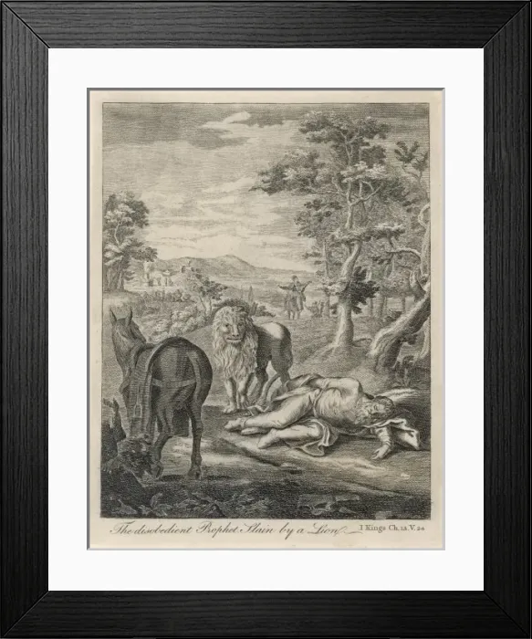Framed Print : The Disobedient Prophet Framed Print : The Disobedient Prophet