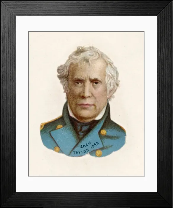 Framed Print : Zachary Taylor / Scrap 80 Framed Print : Zachary Taylor / Scrap 80
