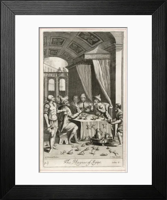 Framed Print : Plague of Frogs Framed Print : Plague of Frogs