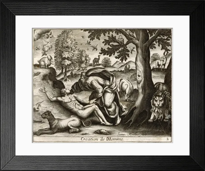 Framed Print : God Creates Adam Framed Print : God Creates Adam