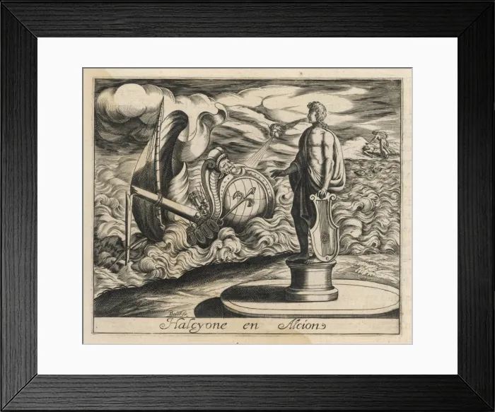 Framed Print : Halcyone / Ceyx / Kingfisher Framed Print : Halcyone / Ceyx / Kingfisher