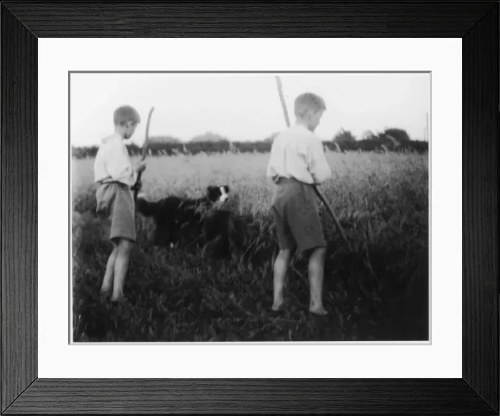 Framed Print : Boys & their Dog Framed Print : Boys & their Dog