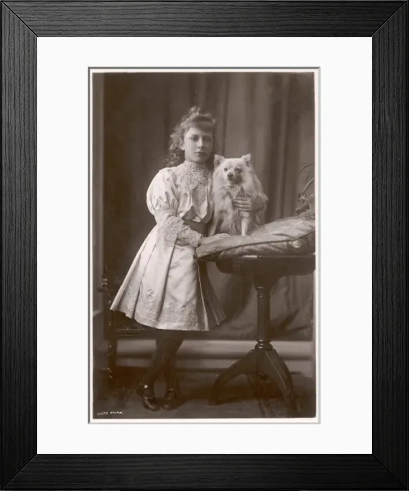Framed Print : Princess Marys Dog 1 Framed Print : Princess Marys Dog 1