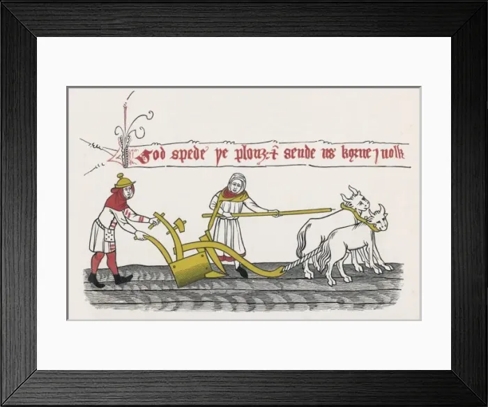 Framed Print : Ploughing, 14th Century Framed Print : Ploughing, 14th Century