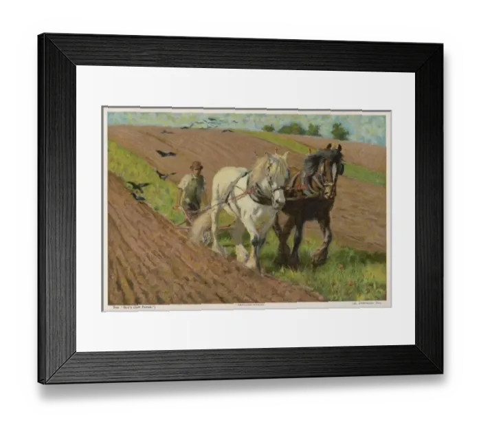 Framed Print : Ploughing in 1903 Framed Print : Ploughing in 1903