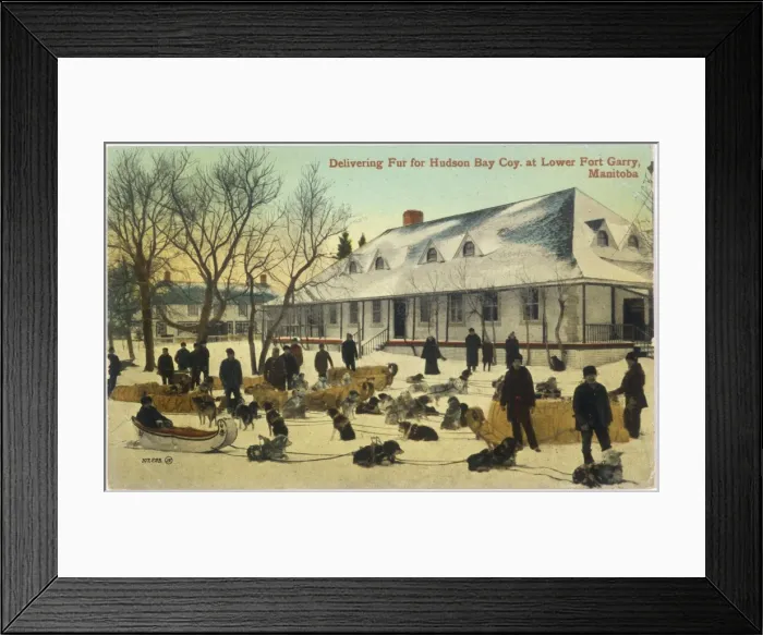 Framed Print : Delivering Fur Framed Print : Delivering Fur