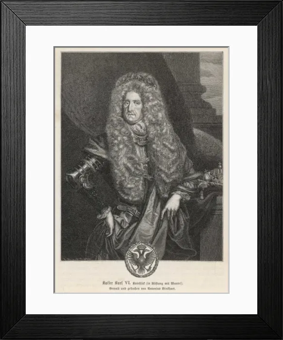 Framed Print : Carl Vi / Hre / Birchart Framed Print : Carl Vi / Hre / Birchart