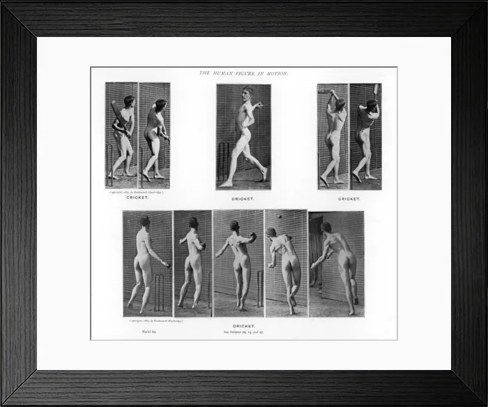 Framed Print : Muybridge / Man / Cricket Framed Print : Muybridge / Man / Cricket