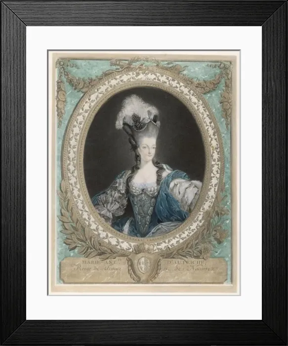Framed Print : Marie Antoinette / Janinot Framed Print : Marie Antoinette / Janinot