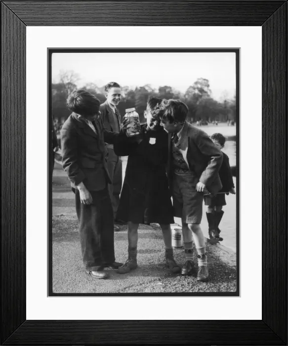Framed Print : Children Catch Tiddlers